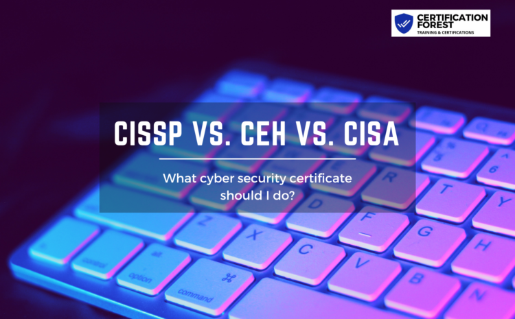  CEH vs. CISSP vs. CISA: What cyber security certifications should I do?