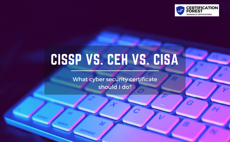 What Is CISSP Certification? Qualifications, Benefits And Salary – Forbes  Advisor